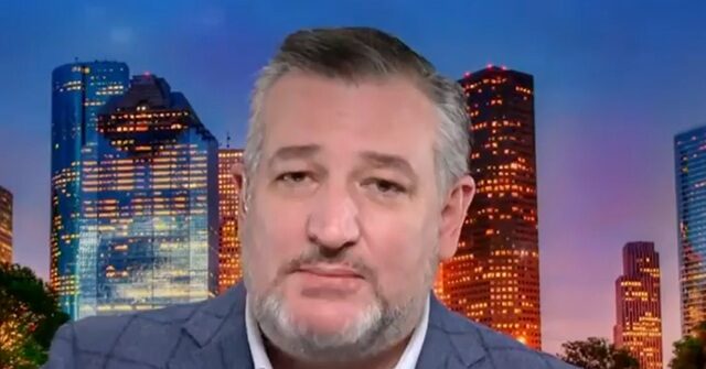 Ted Cruz: ‘The Government Will Reopen When Schumer’s Temper Tantrum Ends’