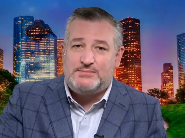 Ted Cruz: Democrats Are ‘Rooting Against America’