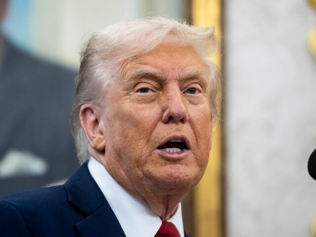 US President Donald Trump speaks in the Oval Office of the White House in Washington, DC,