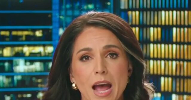 DNI Gabbard: Left-Wing ICE Threats ‘Not the Values of the First Amendment and Peaceful Protest’