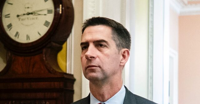 Cotton Urges Treasury Dept to Probe Illegals Gaining Access to U.S. Banks