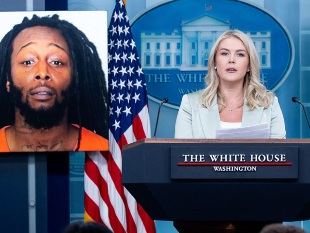 White House Press Secretary Karoline Leavitt speaks alongside a photo of Ukrainian refugee