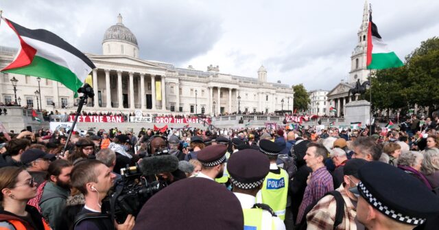 UK Pro-Palestinian Activists Protest Days After Synagogue Terror Attack