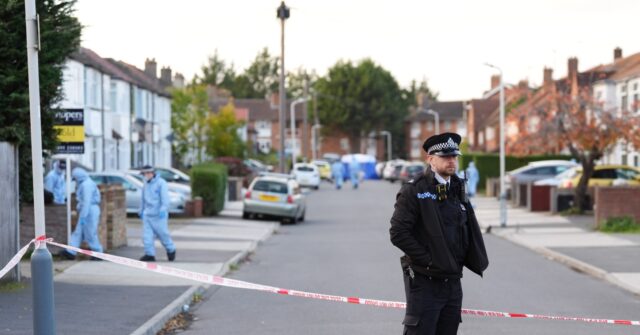 Afghan Suspect in London Triple Stabbing Was an Illegal Migrant: Report