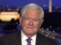 Gingrich: Schumer, Jeffries ‘Are Just Totally Out of Touch with America’