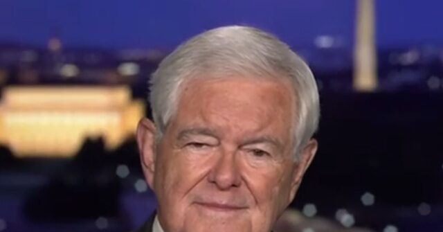Gingrich: Schumer, Jeffries 'Are Just Totally Out of Touch with America'