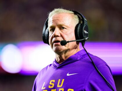 Gus Stark_LSU_University Images via Getty Images (4)