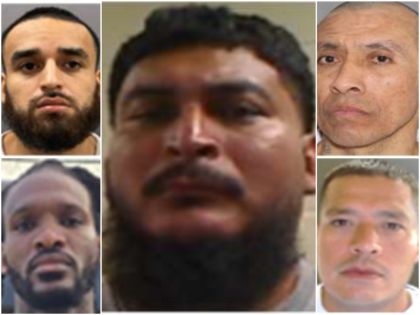 Immigration and Customs Enforcement