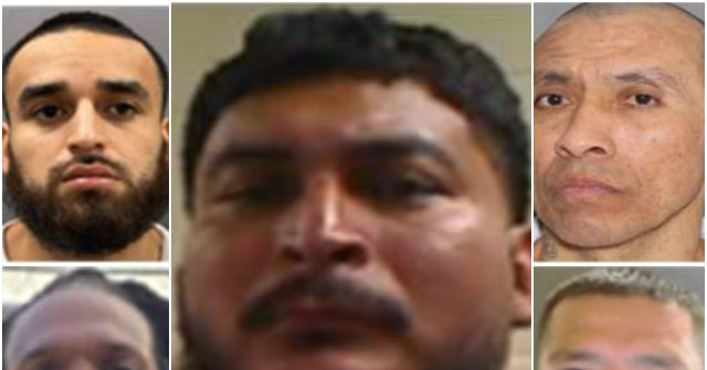 Exclusive: ICE Agents Arrest Gang Member, Carjacker, Kidnapper Despite No Pay due to Government Shutdown