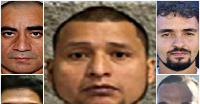 ICE Arrests Pedophile, Rapist, Domestic Abuser During Govt Shutdown