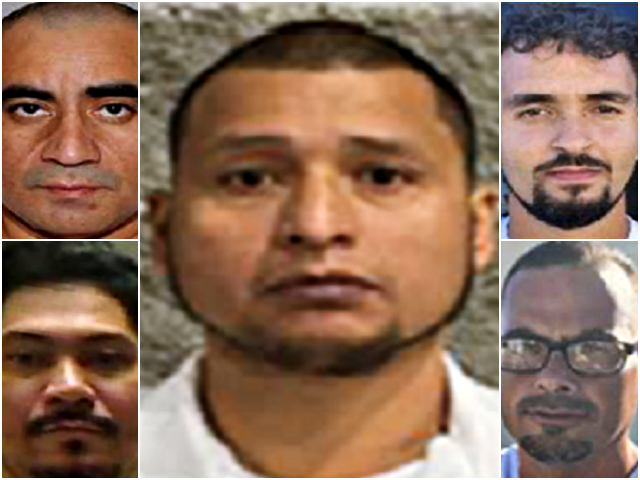 Immigration and Customs Enforcement