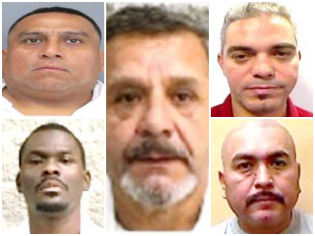 Immigration and Customs Enforcement