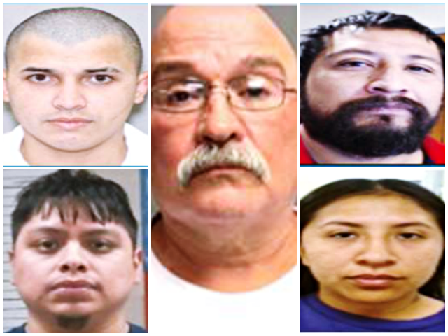 Immigration and Customs Enforcement