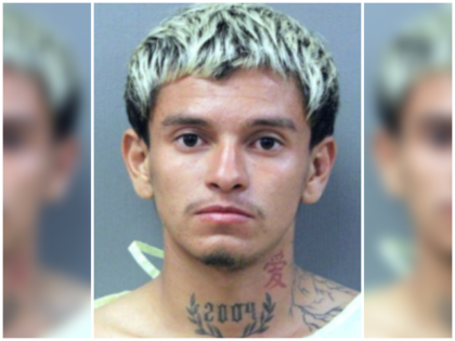 Immigration and Customs Enforcement