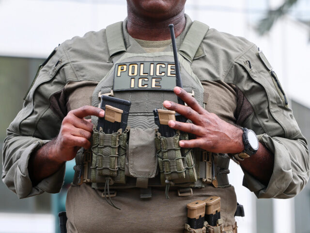 ICE Officer, Body Camers_ An U.S. Immigration and Customs Enforcement's (ICE) personnel provides security in th