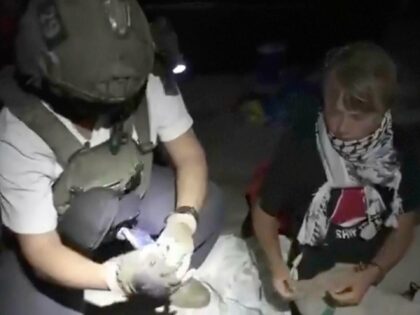 IDF Greta Thunberg (Associated Press)