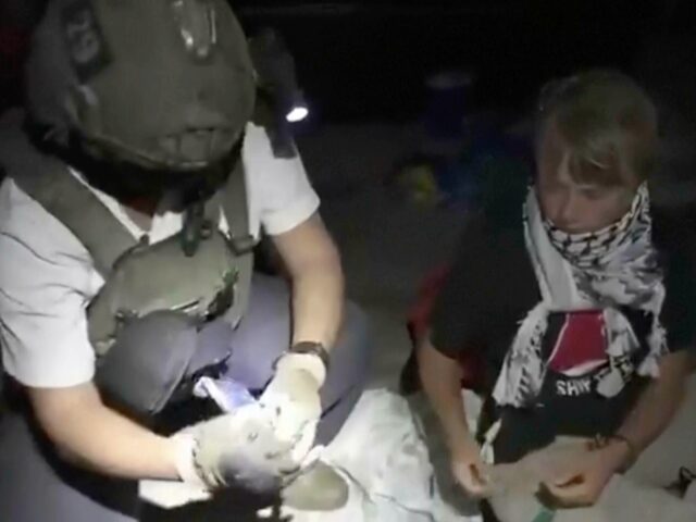 IDF Greta Thunberg (Associated Press)