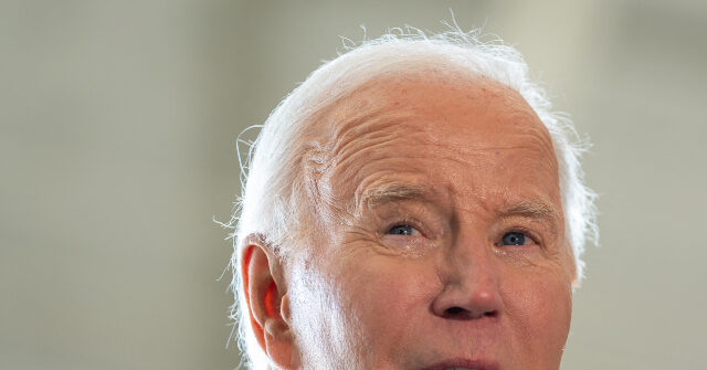 Johnson: Suspected Terrorist's Arrest Is Result of Biden's Leftist Policies