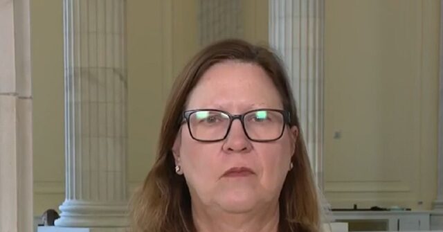 Dem Rep. Julie Johnson: Shutdown GOP’s Fault, We Can’t Vote for Their Bill to Reopen Government