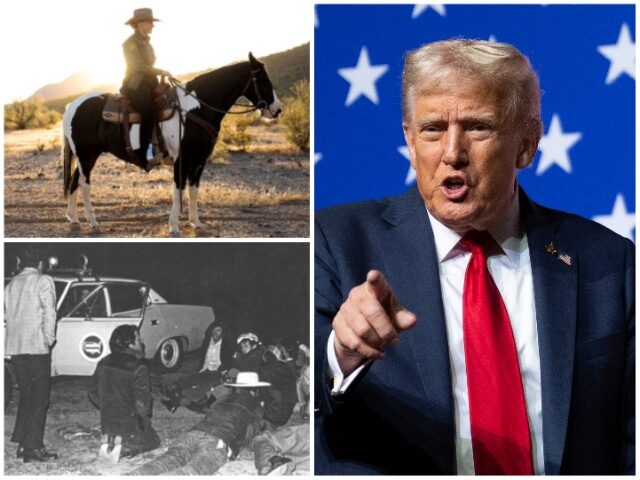 HISTORIC: Trump Policies Yield Lowest Illegal Border Crossing Arrests in Half-Century HISTORIC: Trump Policies Yield Lowest Illegal Border Crossing Arrests in Half-Century (Bor