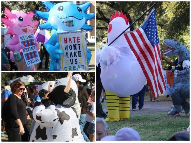 Inflatables Inspired by Portland Anti-ICE Protests Appear in Texas No-Kings Marches (Randy