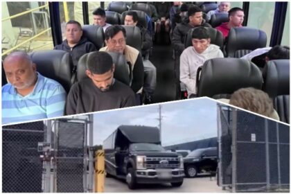 ICE Buses 100 Illegal Aliens from Indiana to Texas for Deportation Processing