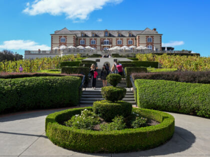 Domaine Carneros winery is seen during fall foliage in Napa, California, United States on