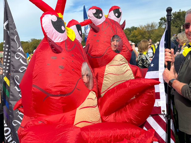 Nenhum protesto dos Kings, Washington, DC - Matt Perdie / Breitbart News