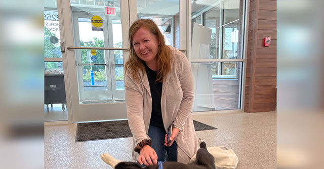 Dog Who Bolted During Storm Found 3 Months Later, 2,000 Miles Away