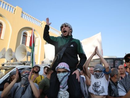 Pro-Palestinian protesters