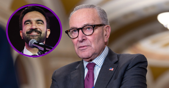 WATCH: Chuck Schumer Will Not Say If He's Voting for Zohran Mamdani