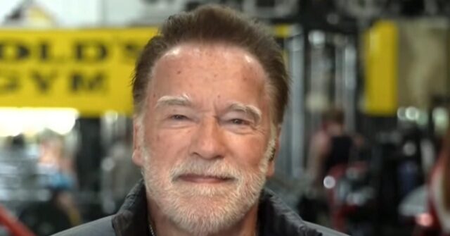 Schwarzenegger Rejects Tapper Effort to Blame GOP for ‘Extreme Gerrymandering’ — ‘Gerrymandering Going on for 200 Years’