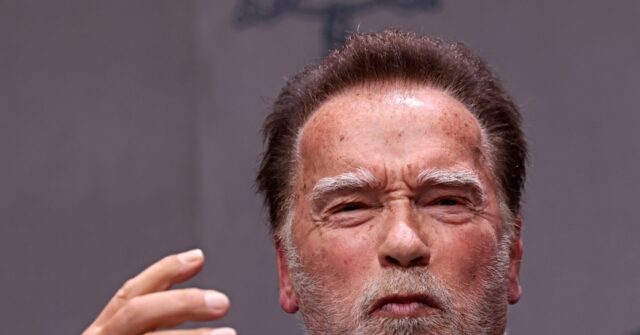 Pope, Schwarzenegger Join Forces: Urge Catholics to ‘Terminate’ Climate Change