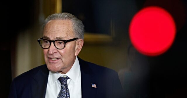 Schumer Shutdown to Halt Military Paychecks
