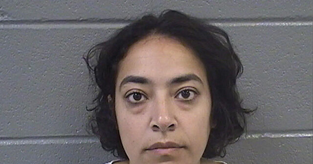 Far-Left Professor Charged with Felonies After Riot at Chicago ICE Facility