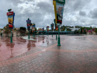 Report: Disney World Suffers Slowest September Attendance in Four Years