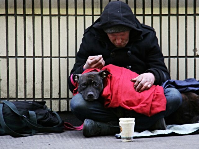homeless man and dog To the surprise of no one with half a brain, a new study shows that the billions of taxpay
