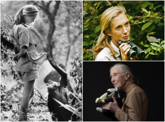 jane-goodall-getty (Photos: CBS, Bettmann, Joel Saget/Getty Images)
