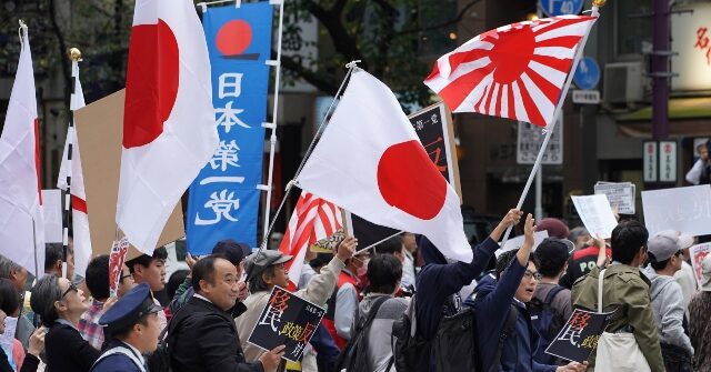Japan Reports Record Number of Babies Born to Foreign Parents