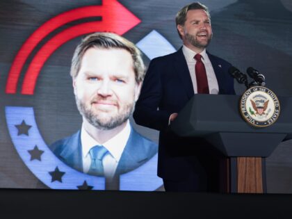 JD Vance: ‘We Have Got to Get Our Overall [Migrant] Numbers Way, Way Down’ 