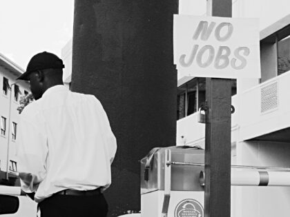 The far-left Wall Street Journal reports that at the end of 2024, there were only 100,000