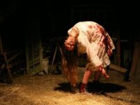 Nolte: Your Film School Assignment, One Movie Per Day – Week Five