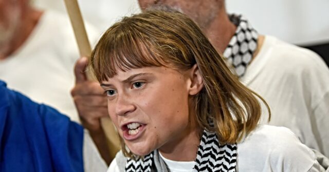 Trump Urges 'Troublemaker' Greta Thunberg to 'See a Doctor' After Israeli Deportation