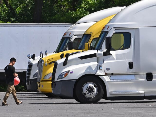 truck driver ALBANY, NY - JULY 22: A truck driver walks back to his truck parked at the Plaza 23 truck