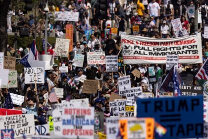 Demonstrators are seen rallying in Los Angeles at a 'No Kings' protest in June 2