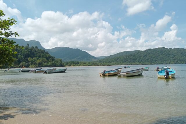 Police in Trinidad and Tobago told AFP they are investigating whether two citizens were am