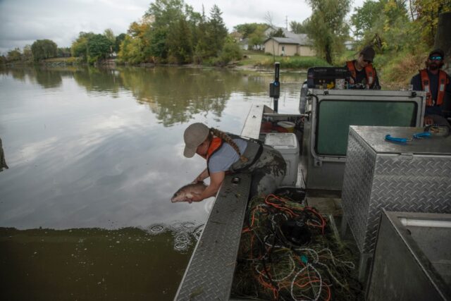 A team from Canada's fisheries ministry patrols the Grand River, near Lake Erie, look