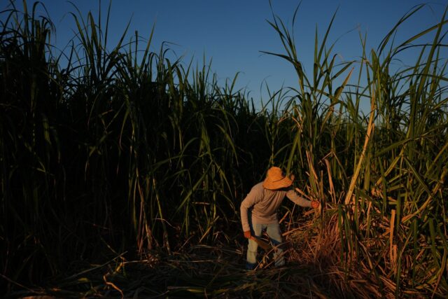 The Associated Press