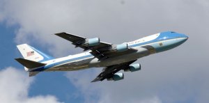 Hunting stand found in a tree near Air Force One at Palm Beach airport