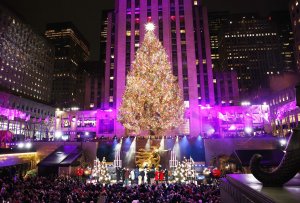NYC Rockefeller Center's 94th holiday tree selected